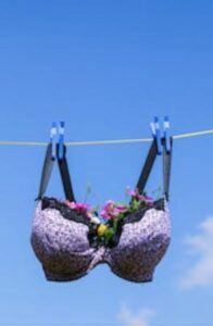 Cómo secar tus brassiers