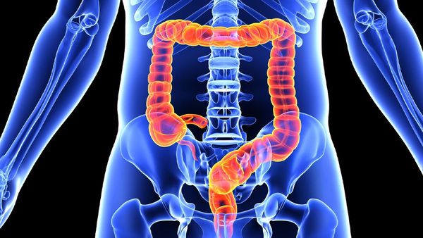 Ilustración del sistema digestivo resaltando el colon, donde inicia la colonización de la microbiota desde el embarazo.